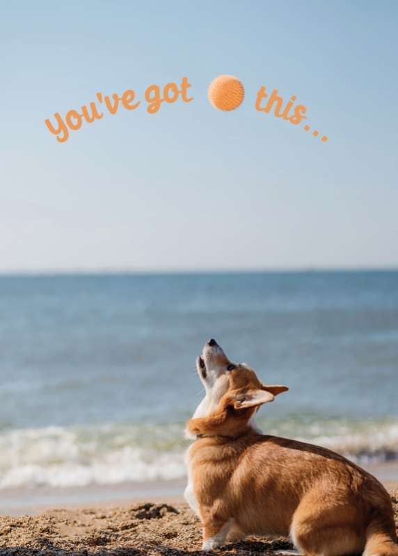 You\'ve Got This